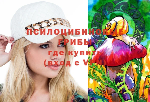 гидра Белоозёрский