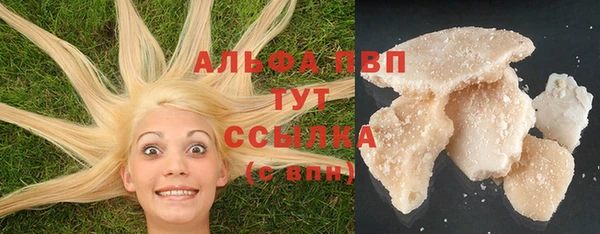 гидра Белоозёрский