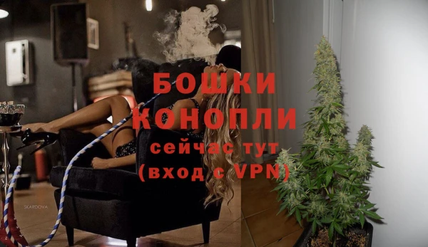 гидра Белоозёрский