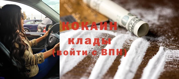 молекула духа Белокуриха