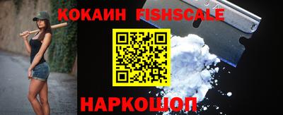 стаф Гай