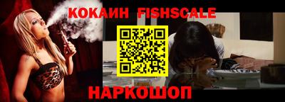 стаф Гай