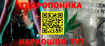стаф Гай