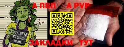 стаф Гай
