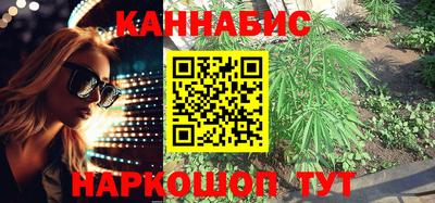 СК Гатчина
