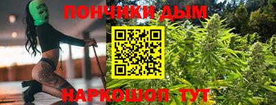 стаф Гай