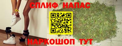 СК Гатчина