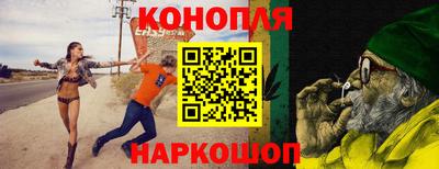 СК Гатчина