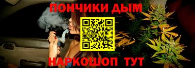 стаф Гай