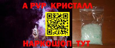 СК Гатчина