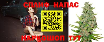 сатива Гагарин