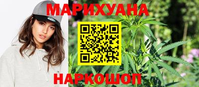 СК Гатчина