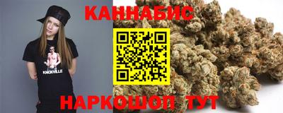 сатива Гагарин