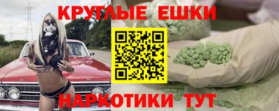 СК Гатчина