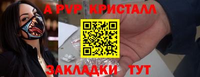 СК Гатчина