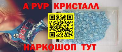 СК Гатчина