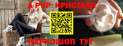 стаф Гай