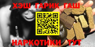 СК Гатчина